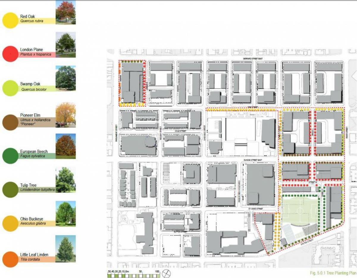 3 Canlandırılması harita plan Regent Park Toronto faz 