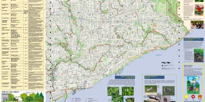 Harita parklar ve yürüyüş yolları Toronto East 