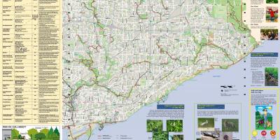 Harita parklar ve yürüyüş yolları Toronto East 