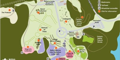RGB Arboretum haritası 