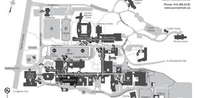 Sunnybrook Sağlık Bilimleri merkezi haritası - SHSC